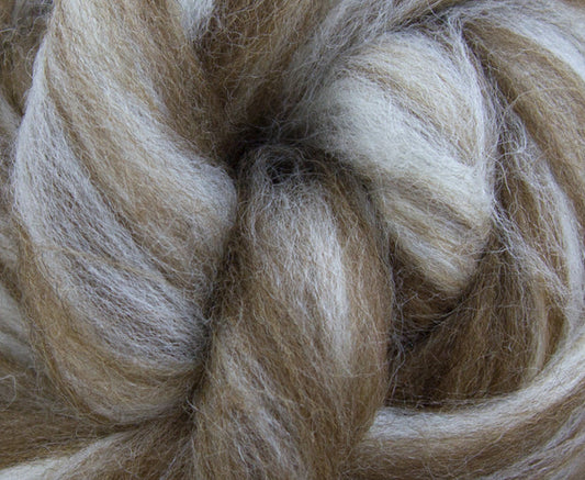 Mixed Shetland Wool Top